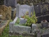 image of grave number 807491